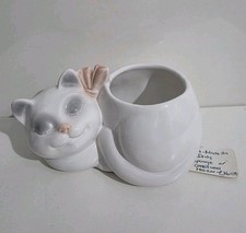 Cat Sponge Or Cotton Wool